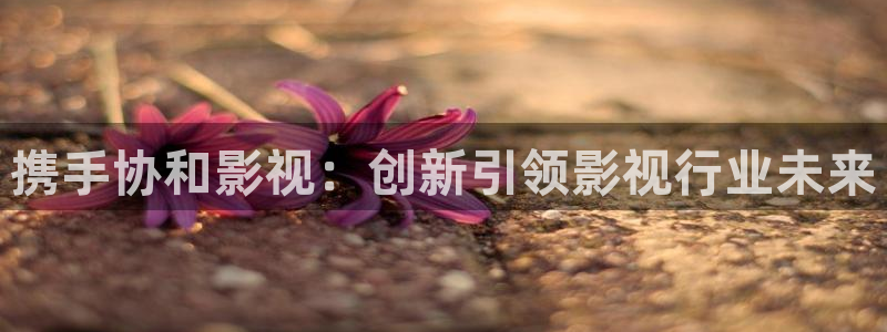 神马在线观看影院